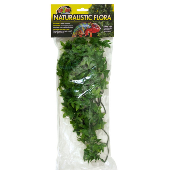 Congo Ivy medium, 46 cm