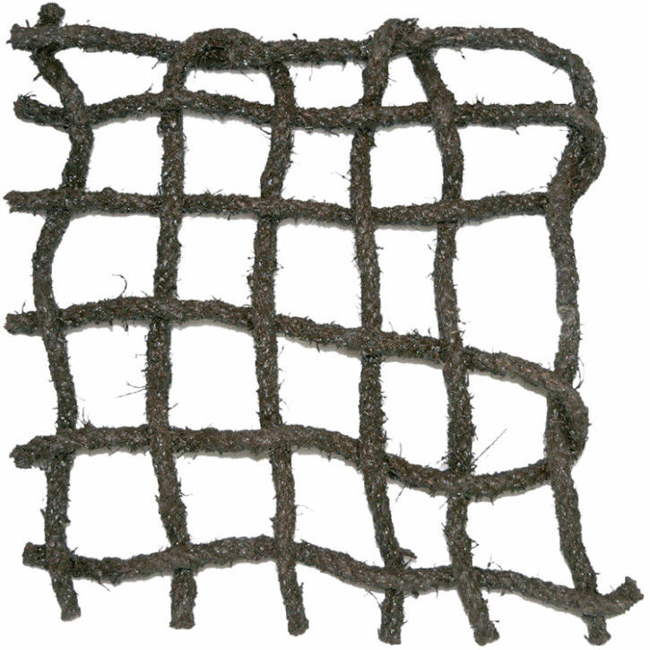 Coco Net