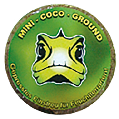 Mini-Coco-Ground