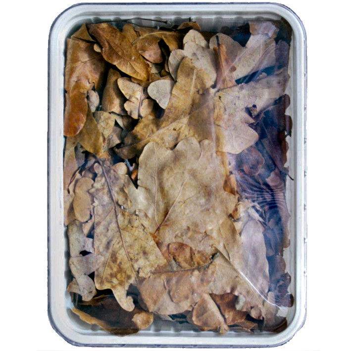 Laub getrocknet ca. 1l