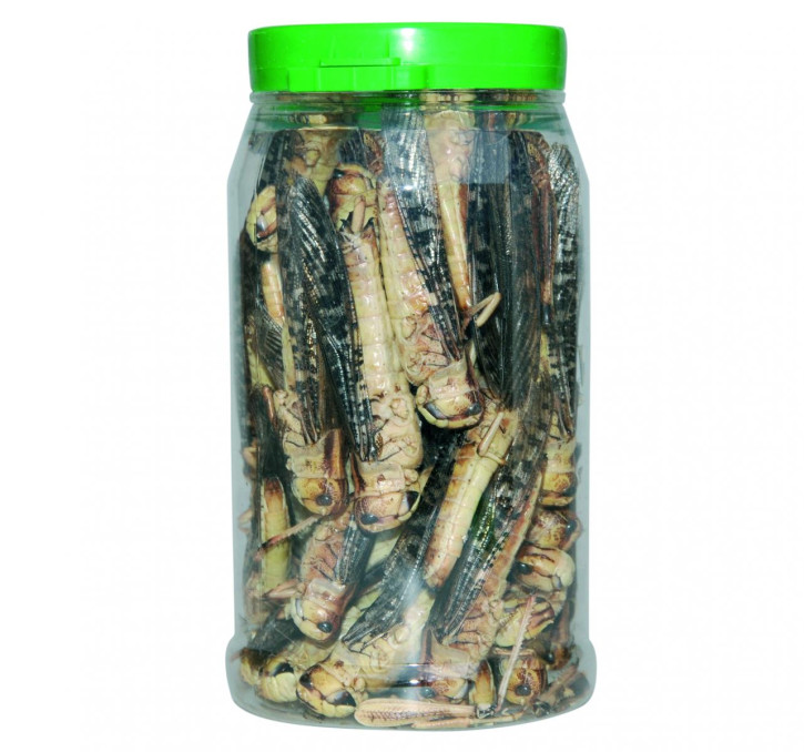 CRISPY FOOD - Heuschrecken groß, getrocknet, 30g