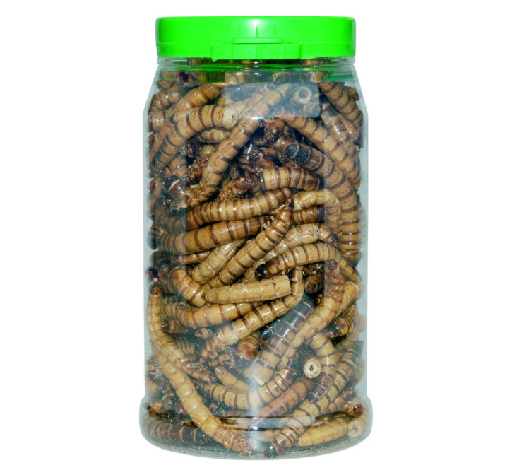 CRISPY FOOD - Zophobas, getrocknet, 50g