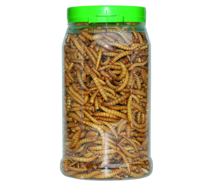 CRISPY FOOD - Mehlwürmer, getrocknet, 48g