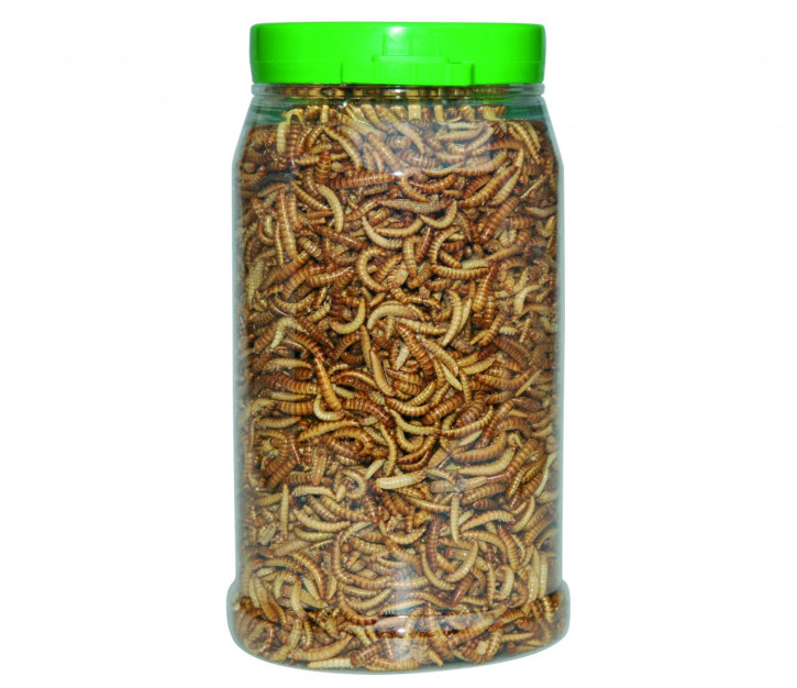 CRISPY FOOD - Schimmelkäferlarven (Buffalos)-getrocknet, 50g