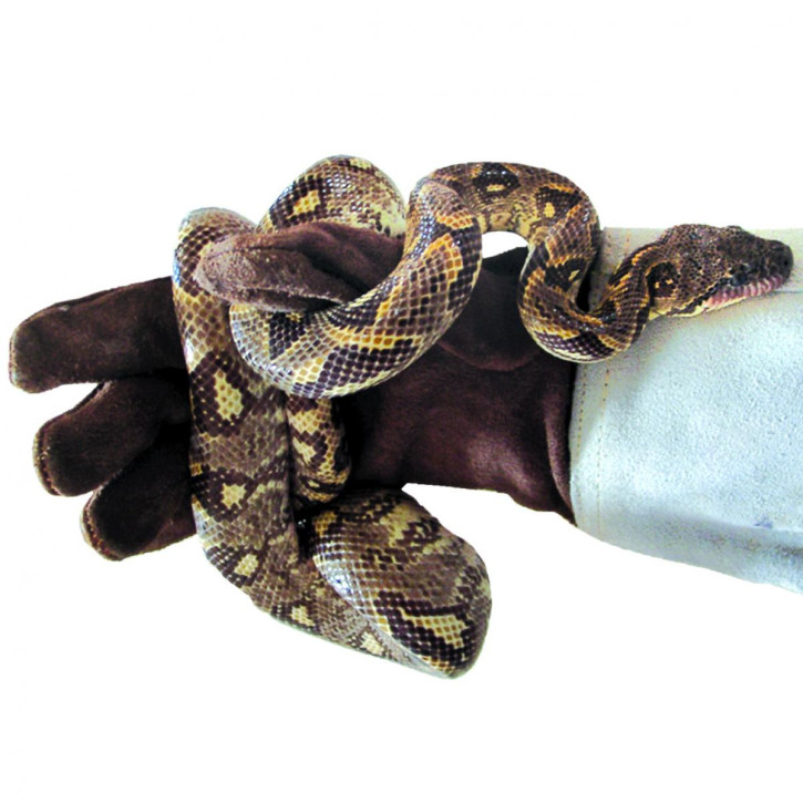 Schutzhandschuh