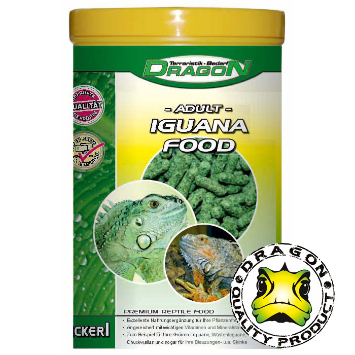 Iguana Food