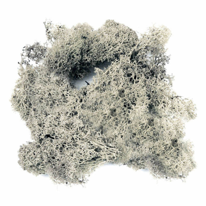 Island-Moos natur, ca. 60g