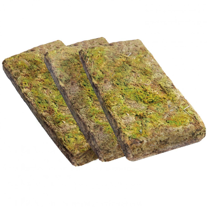 Waldmoos, Natur, getrocknet, 3x100g