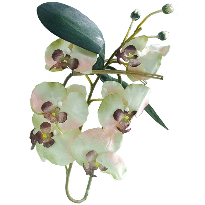 Orchideenzweig mit Blüten creme-weiß ca. 80 cm