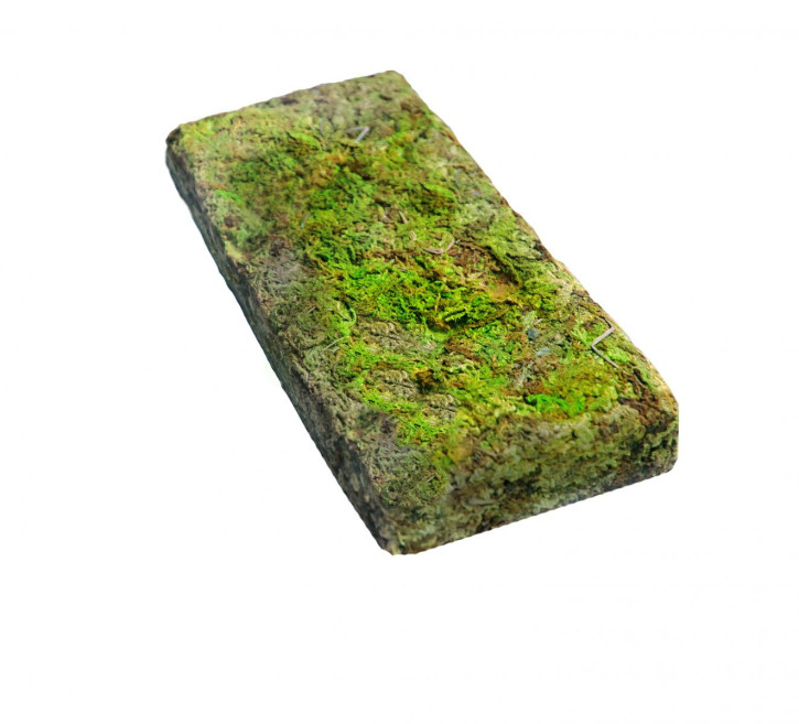 Waldmoos, Natur, getrocknet, 100g