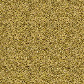 Bearded Dragon Food Adult soft