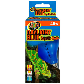 Daylight Blue