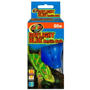 Daylight Blue