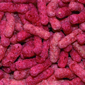 Tortoise Food Adult 100g Dragon Dry Reptile Food