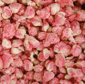Tortoise Food Juvenile 100g Dragon Dry Reptile Food