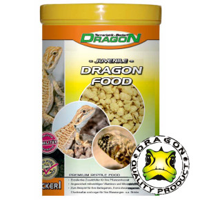 DRAGON FOOD