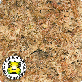 Sphagnum-Moos gepresst 100g-Brikett, ca. 5l