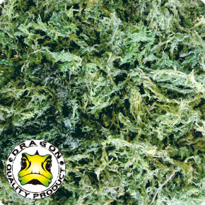 Sphagnum-Moos grün, gepresst, 100g-Brikett ca 5l