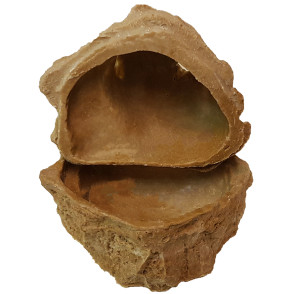 Wet Box - Vielseitige Felsenhöhle 17x14x15 cm